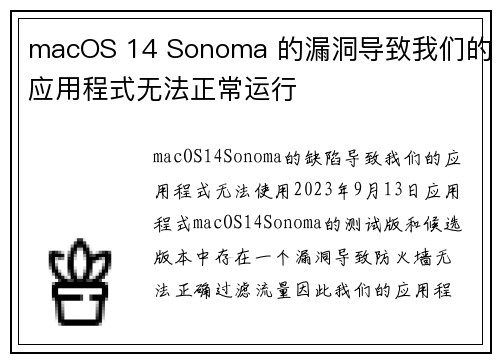 macOS 14 Sonoma 的漏洞导致我们的应用程式无法正常运行 